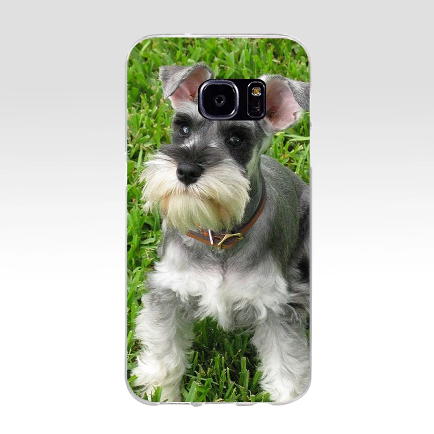 71H миниатюрный Schnauzer Мягкий ТПУ силиконовый чехол для samsung Galaxy s6 s7 edge s8 s9 plus |