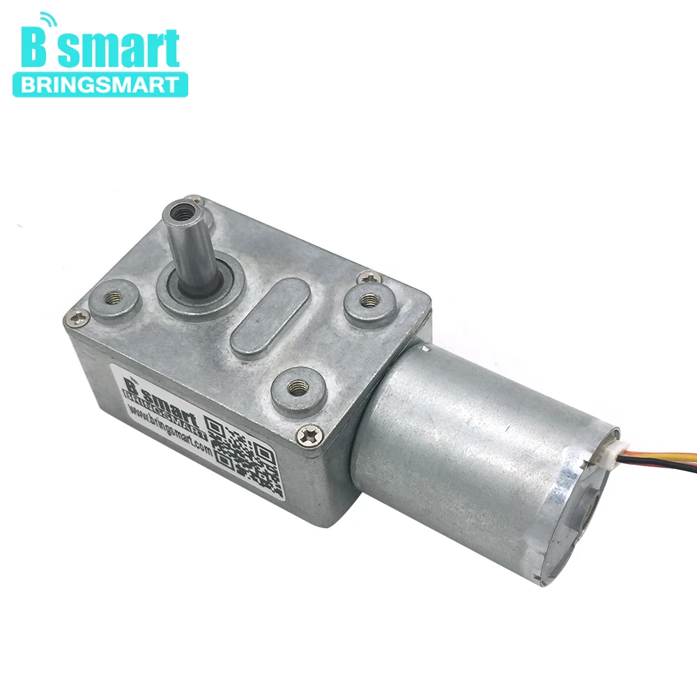 Bringsmart JGY 2430 бесщеточный 12 вольт постоянного тока червячный мотор редуктор
