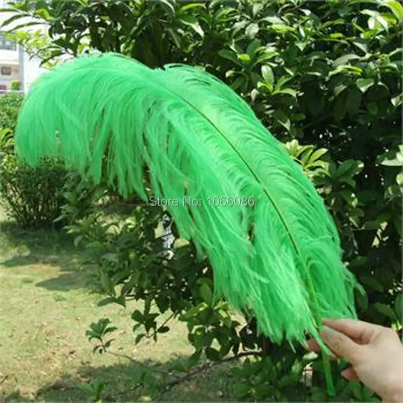 Preise EMS Freies Verschiffen! 50 Teile/los 60-65cm 24-26