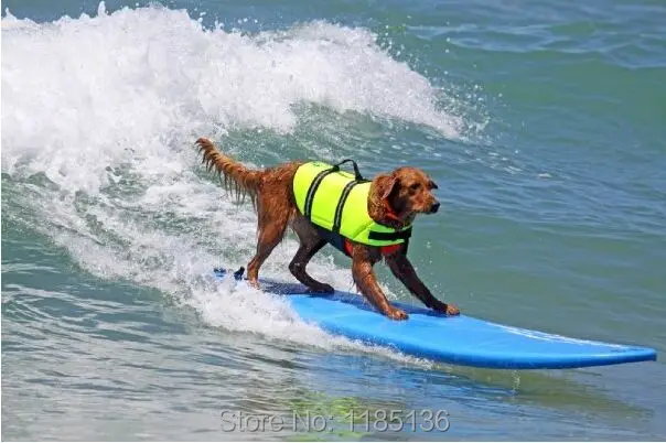 Спасательный жилет для больших собак Воздухопроницаемый спасательный купальный