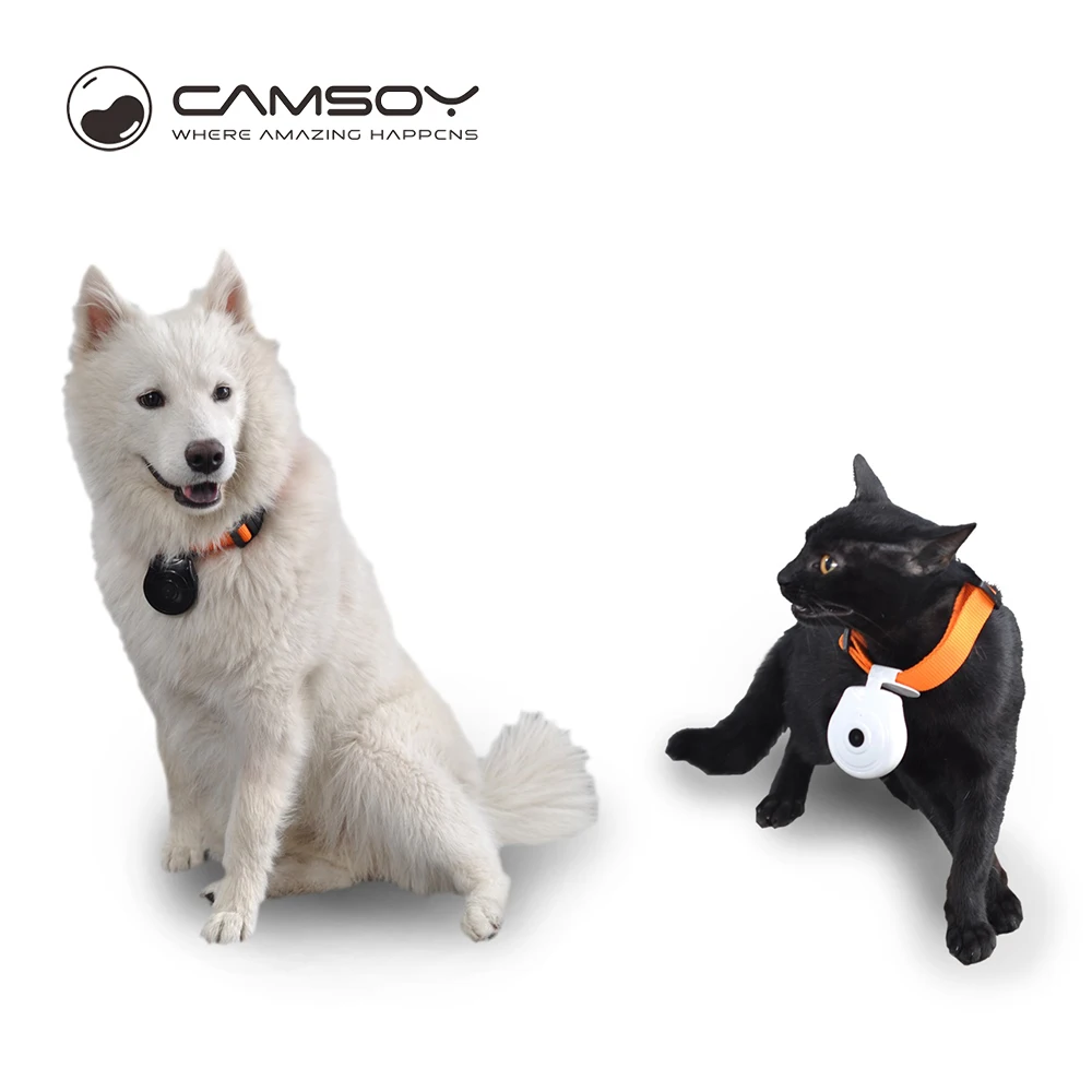 Camsoy Pet мини камеры открытый видео Recorder видеокамер для собак и кошек|mini camera|camera