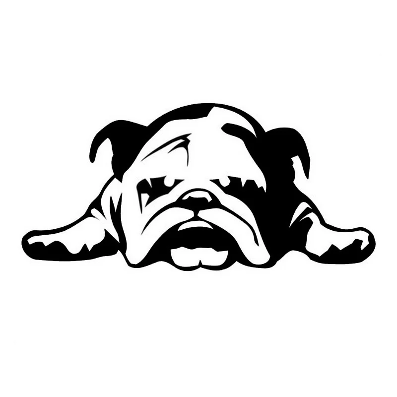 

English Bulldog window Decal Accessories Styling toy Sticker 23x11cm