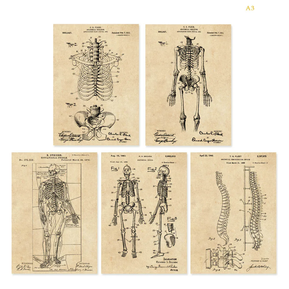 Винтажный лакированный художественный плакат с изображением скелета