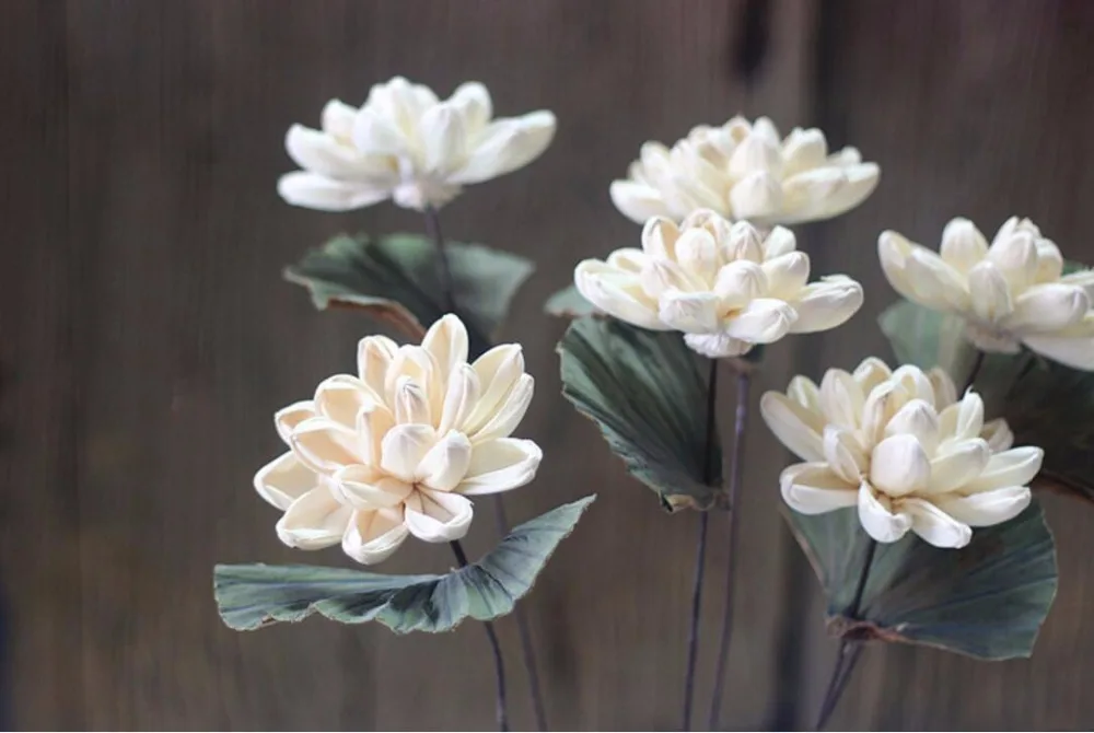 5 шт. белые сушеные цветы лилии для свадебной вечеринки украшения дома отеля