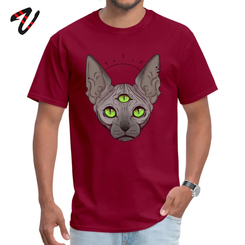 Футболка с рисунком «Три глаза» для мужчин, Cheshire, топы, Sphynx, канадские любительские футболки без волос, большие размеры, Всевидящее Око хлопковая футболка