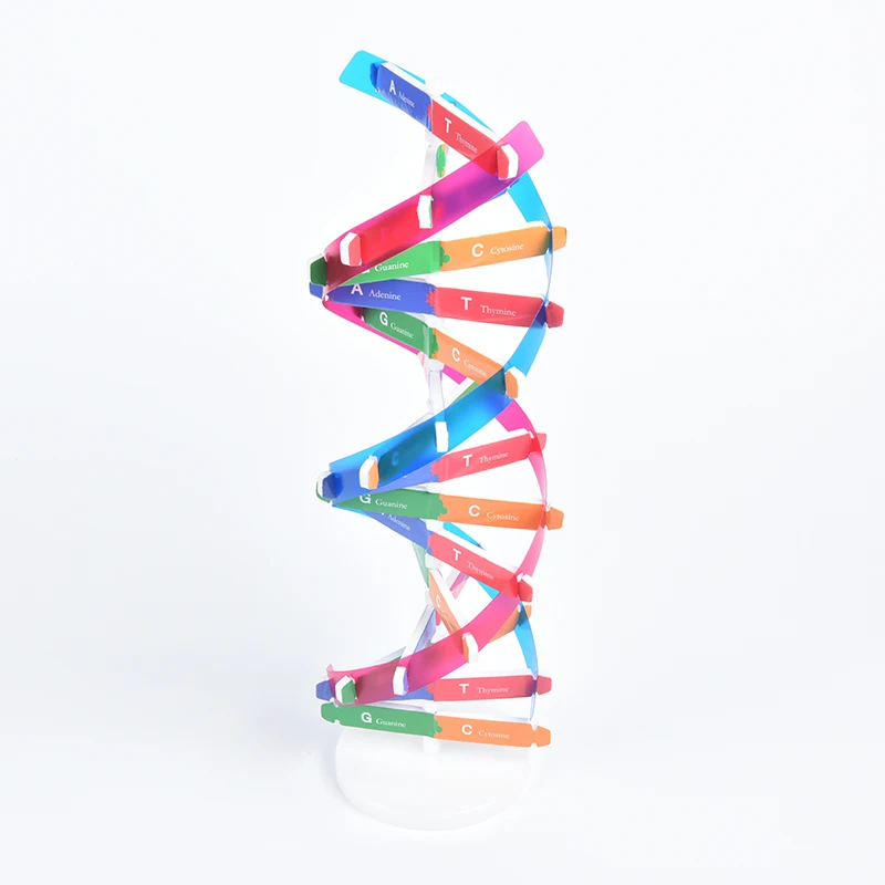 &quotСделай сам&quot для детей ствол игрушка физики научный эксперимент творческие