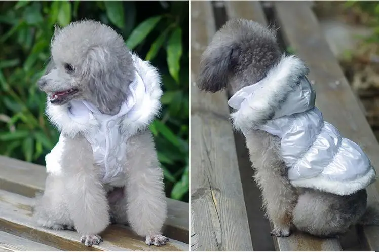 Новый стиль pet куртка в стиле милых собачек зимняя теплая для собак Одежда