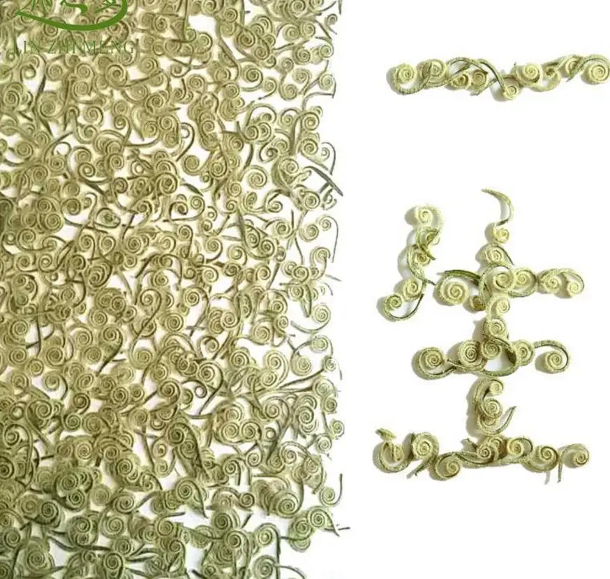 100 шт. сушеный папоротник фрукты Растения гербарий для ювелирных изделий