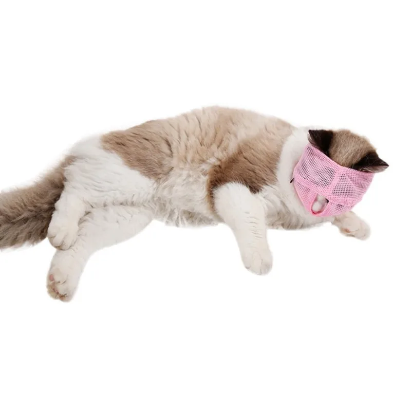 PanDaDa Cat Анти-кусающиеся музлы для кошек аксессуары для домашних животных тренировочная маска дышащая сетка инструмент для ухода