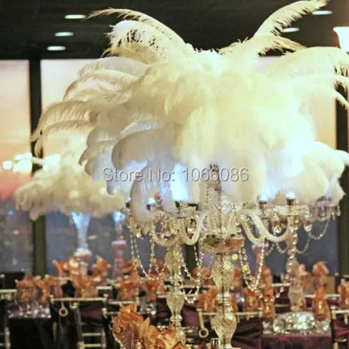 

EMS Free Shipping! 50pcs/lot Top quality White ostrich feathers 50-55cm 20-22 inches ostrich plumages plumes