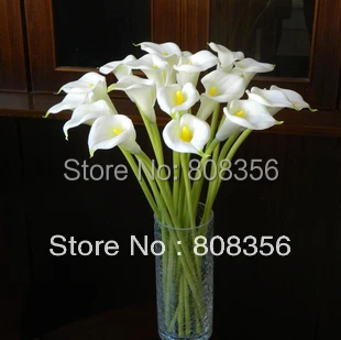 20 шт. настоящие натуральные цветы из искусственной кожи Calla Lily Alocasia Callas 23 62 &quotдля