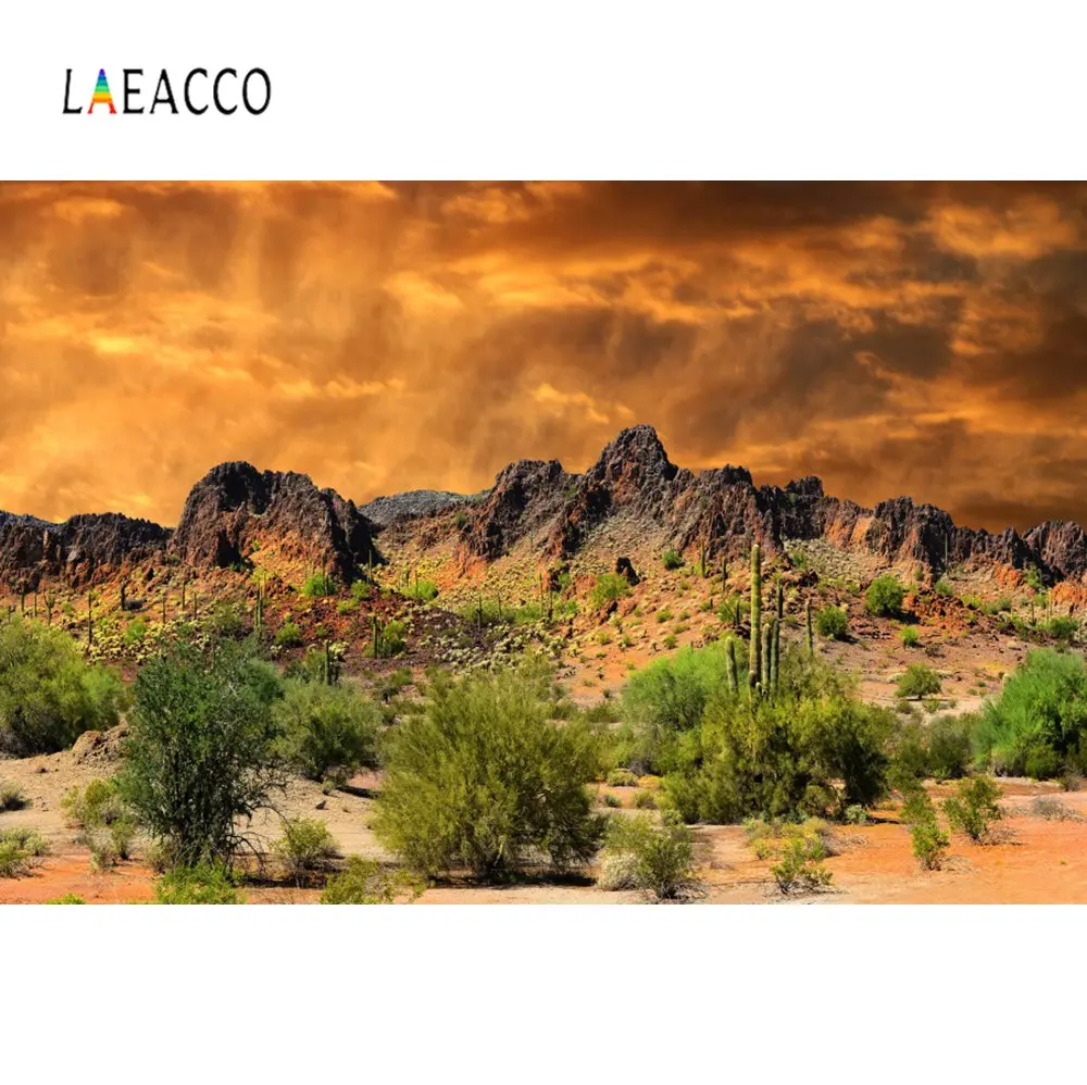 Фоны для фотосъемки Laeacco фоны фотографий с изображением кактуса горы кустарника