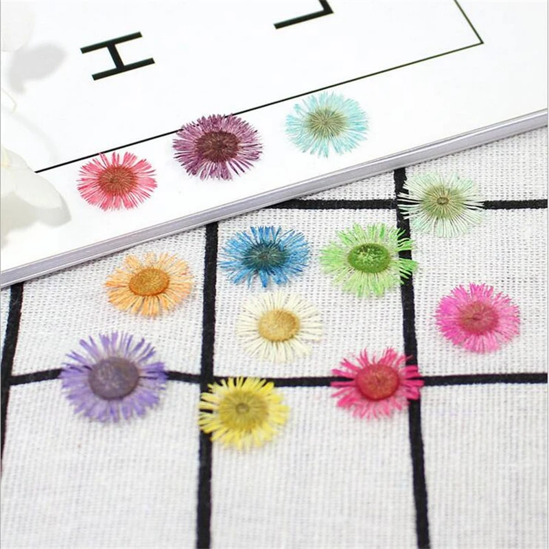 12 шт креативные натуральные высушенные цветы образец растения тисненые разъемы