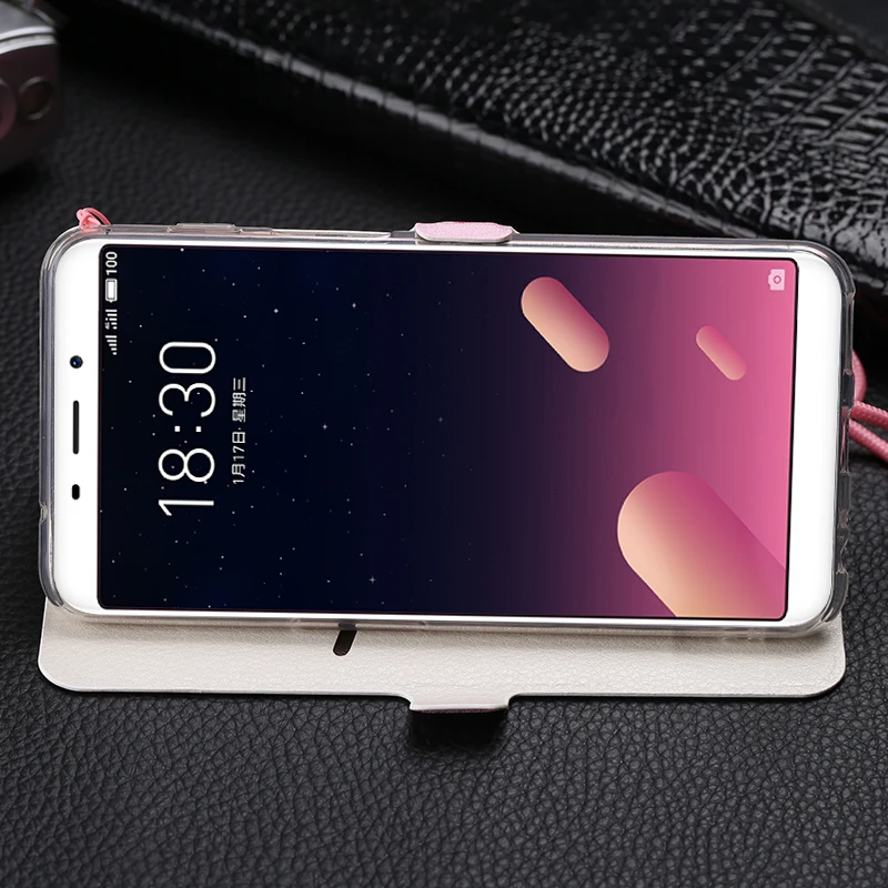 Милый раскрашенный флип-кошелек с подставкой кожаный чехол для Meizu M6 Note чехол для Meizu Note 9 8 чехол s для Meizu M6S 16XS 16X чехол