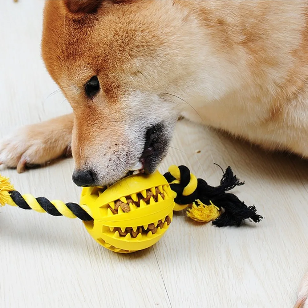 

2021 New Pet Dog Toy Rubber Spilling Ball Chew Bite Resistant Rope Tooth Cleaning Ball Of Food Funny Interactive Elasticity Ball