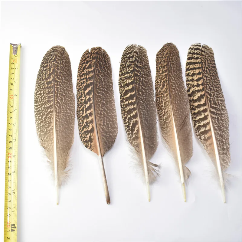 25-30cm-10-12inch Новые различные высококачественные настоящие натуральные орлиные перья 10 шт. 15-40 см перья орла птицы для рукоделия украшения свадьбы - Цвет: 25-30cm-10-12inch
