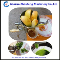 304 stainless steel wheatgrass manual juicer fruit vegetable juicing machine