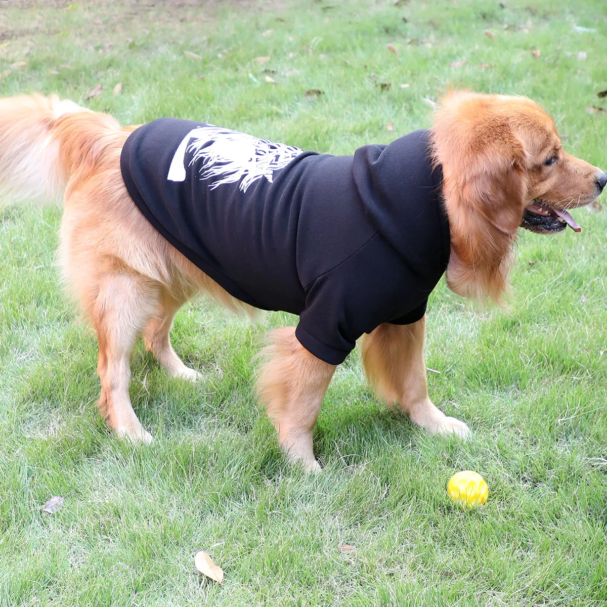 Одежда для собак Chao брендовая весенняя одежда тонкая защиты золотые волосы Самоа