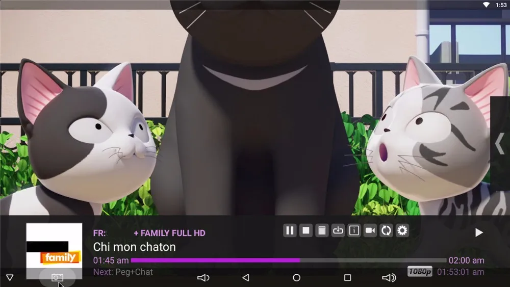 IPTV M3U Испания французский бельгийский iptv приставка для просмотра европейских и
