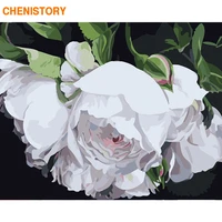 chenistory frame white flower diy painting by numbers modern home decor paint by numbers acrylic canvas painting for 60x75cm art