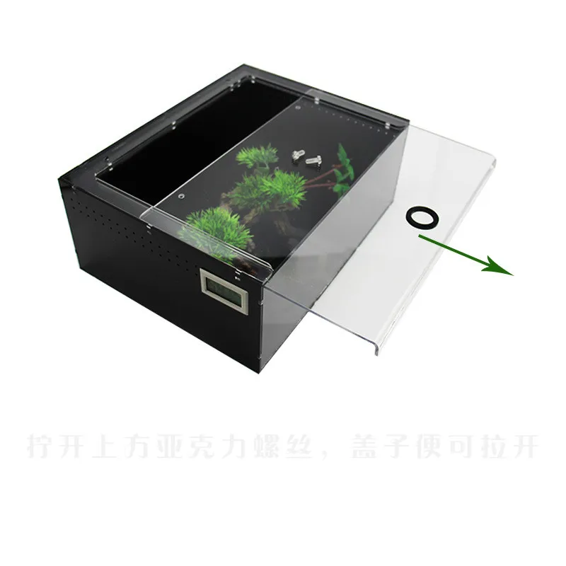 Коробка из ПЭТ для кормления животных Броши в виде ящерицы разведения Хамелеон