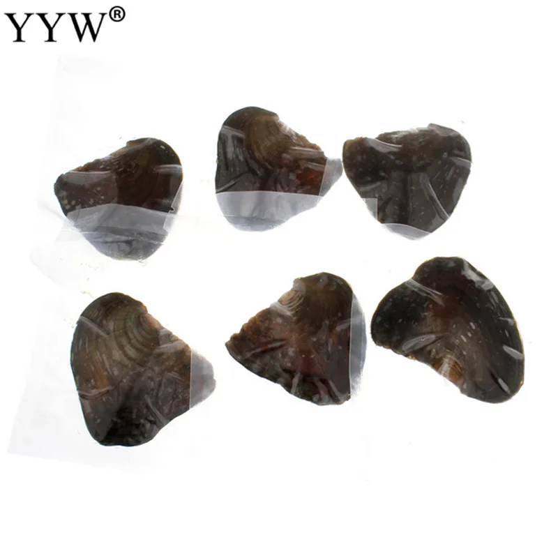 10 шт раковины shwater Wish Pearl Oyster вакуумная упаковка с 3 цветными жемчужинами внутри
