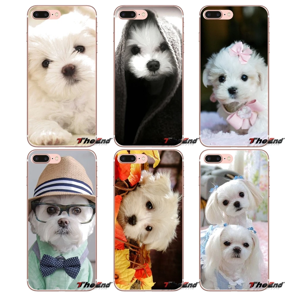 Для Samsung Galaxy J1 J2 J3 J5 J7 A3 A5 A7 2015 2016 2017 J530 J730 Fundas Coque I Love My Maltese dog puppies силиконовый чехол |