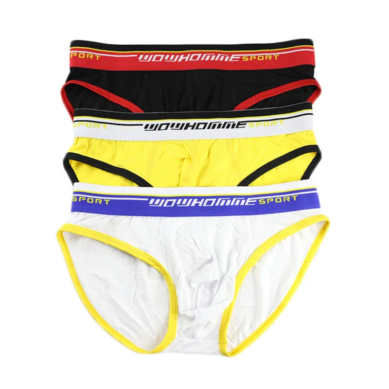 3PCS/Lot Sexy Briefs Modal Men Sexy Penis Pouch Briefs Underwear Gay Male Panties ropa interior Mens Sexy Underpants Briefs