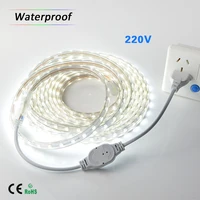 smd 5050 ac220v led strip flexible light 60ledsm waterproof led tape led light with power plug 1m2m3m5m6m8m9m10m15m20m