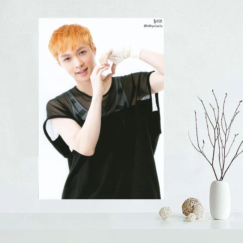 Custom LAY Canvas Painting Poster Home Decor Cloth Fabric Wall Art 27x40cm 30x45cm 40x60cm 50x75cm 60x90cm | Дом и сад