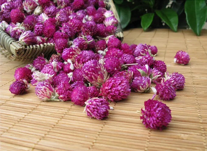 20 шт. сушеная Сохраненная фиолетовая Gomphrena Globosa для свадебной вечеринки, украшения дома, отеля, букеты, проектная принадлежность