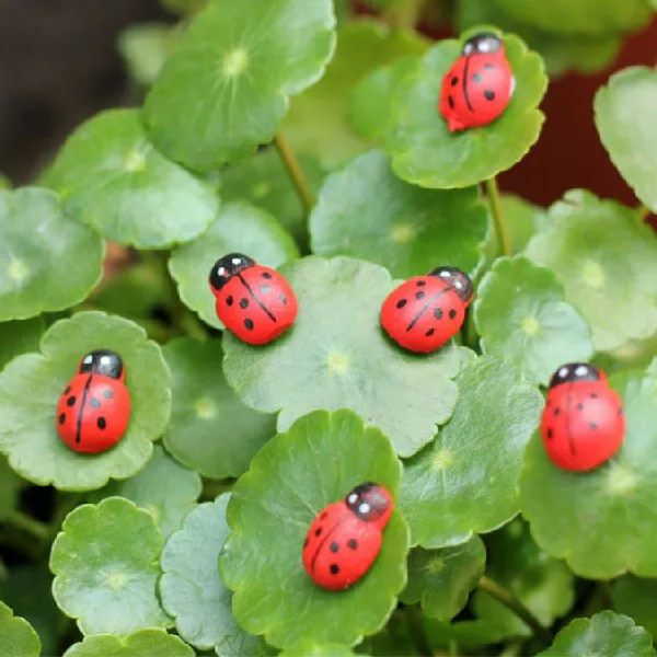 50 шт./упак. мини Смола Божья коровка садовые горшки миниатюрные суккуленты|pot