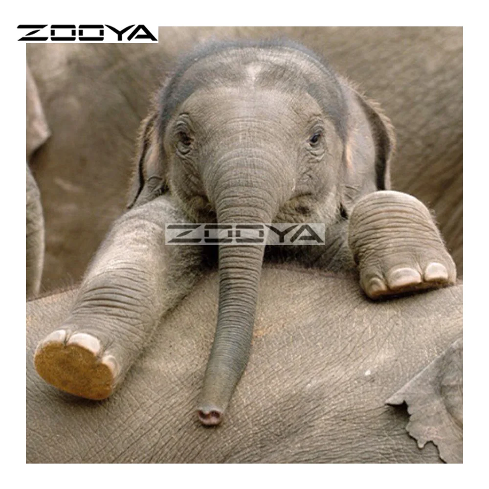ZOOYA Алмазная вышивка 5D Детский слон милая картина крупным планом животное