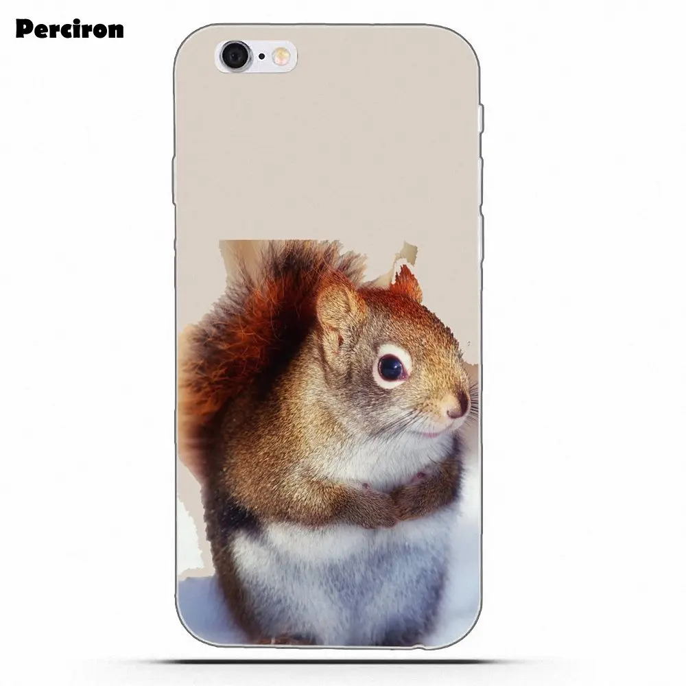 as picture Perciron Squirrel Soft TPU Print Cover Case For Xiaomi Redmi Note 2 3 3S 4 4A 4X 5 5A 6 6A Pro Plus - Цвет: as picture