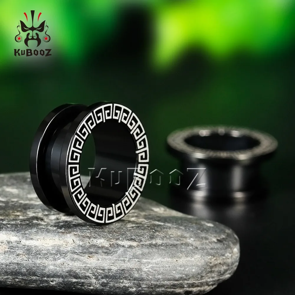 KUBOOZ 2PCS Ear Stretcher Piercing Tunnels Plugs Gauges Stainless Steel Earring Fashion Body Jewelry Gift 6mm to 25mm Women Men