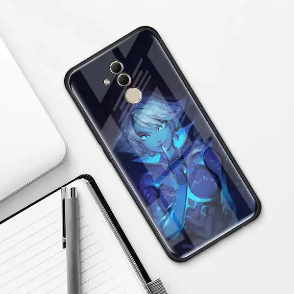 009 Чехол из закаленного стекла Overwatch ow Game для huawei P30 Pro P10 P20 P30 Lite mate 10 20 Pro Honor 20 Pro 8X чехол s - Цвет: 009