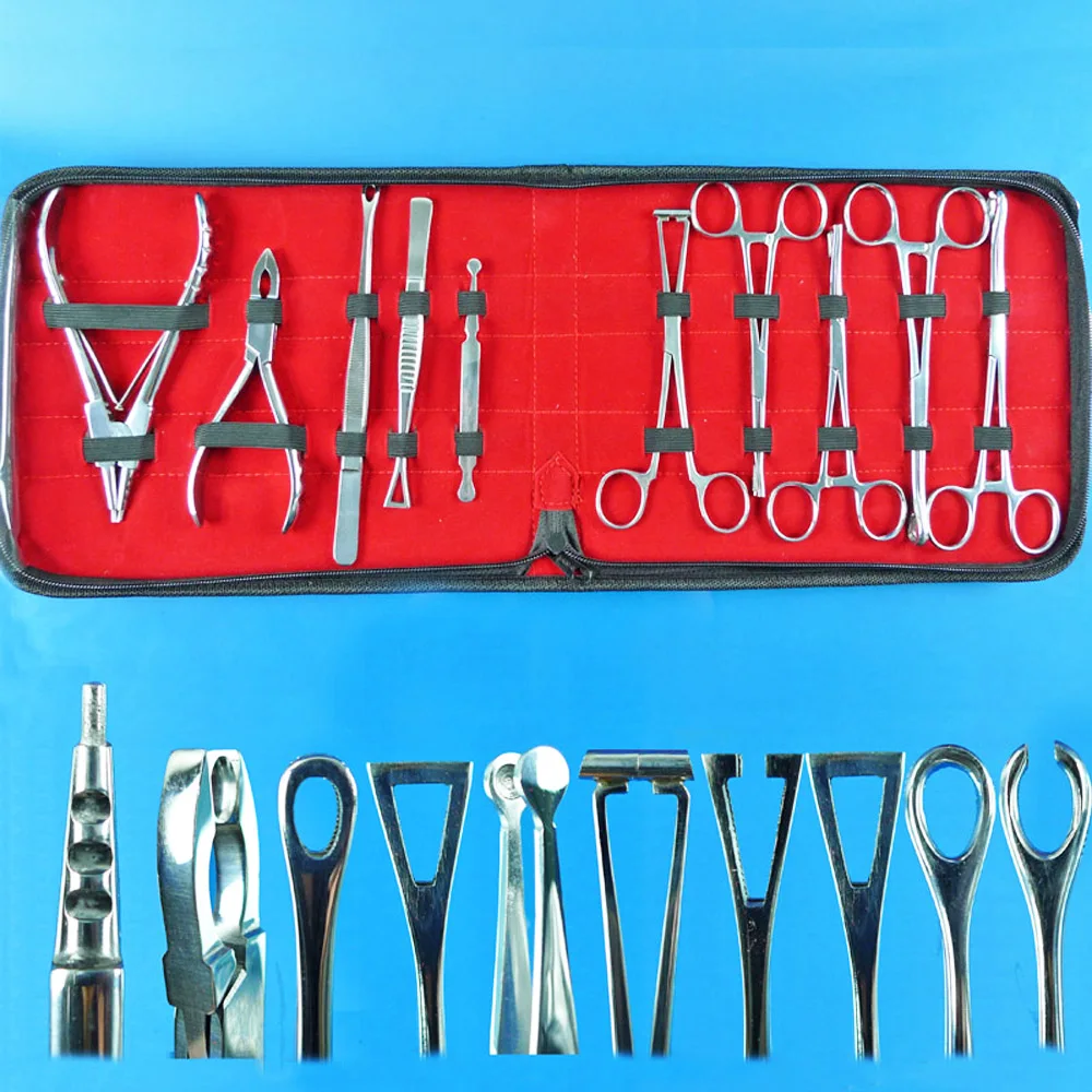 

1 Pack High Quality 316L Surgical Steel Belly Ear Tongue Septum Lip Piercing Closer,Opener Tweezer Clamp Plier Tool Fine Package