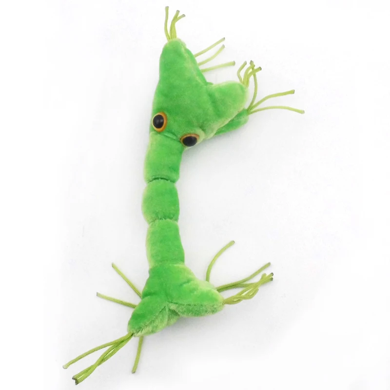 Бесплатная доставка плюшевые игрушки с нервными клетками высокого качества для