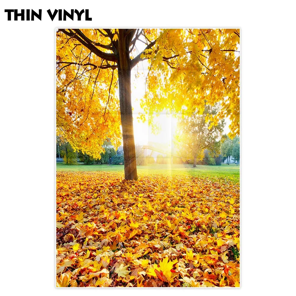 Allenjoy Профессиональный фон для фотосъемки красочный осенний Восход красивый