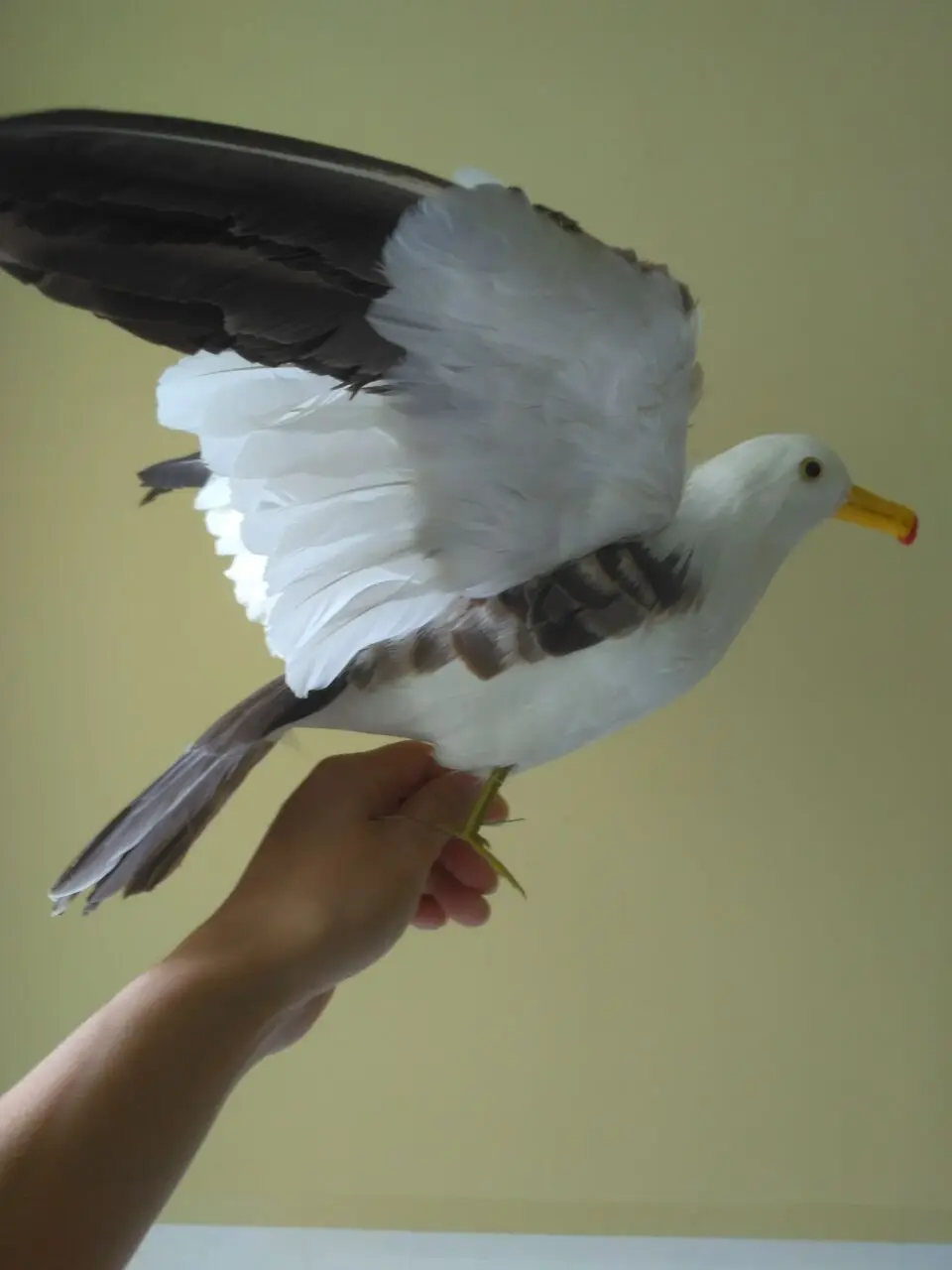 

cute simulation wings Seagull toy foam&feather big seagull bird model about 30x45cm 1269
