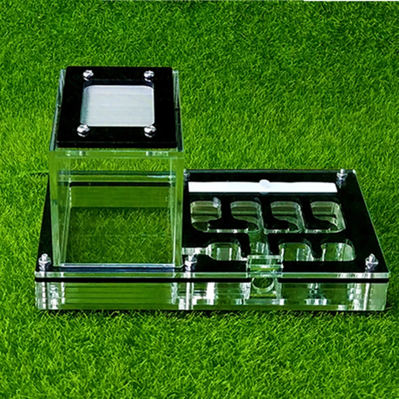 Прозрачное акриловое Муравьиное гнездо для домашних животных | Дом и сад