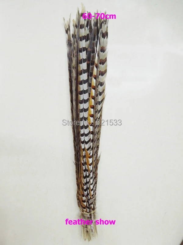

50Pcs/lot!Extra Long Feathers,60-65cm long NATURAL Reeves Venery Pheasant Tail Wholesale Feathers,Reeves Pheasant Tails