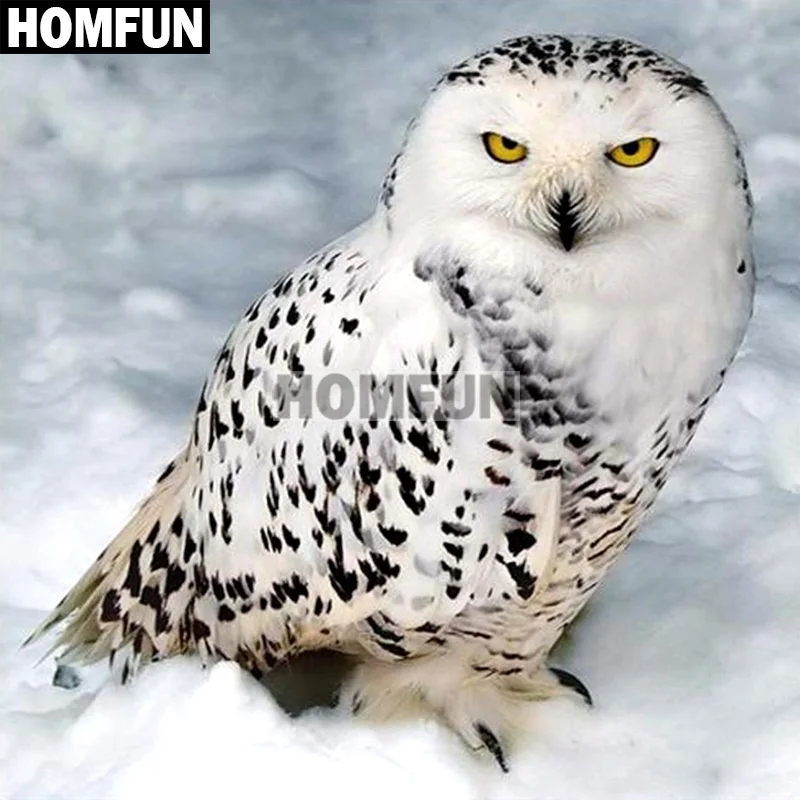Алмазная живопись HOMFUN A00829 картина Снежная Сова с полными квадратными/круглыми