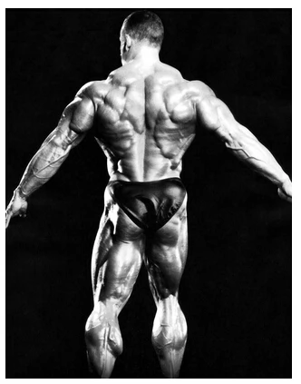 Поли-клеевая печать постера обои Дориана яте Горячие Ретро Современные HD