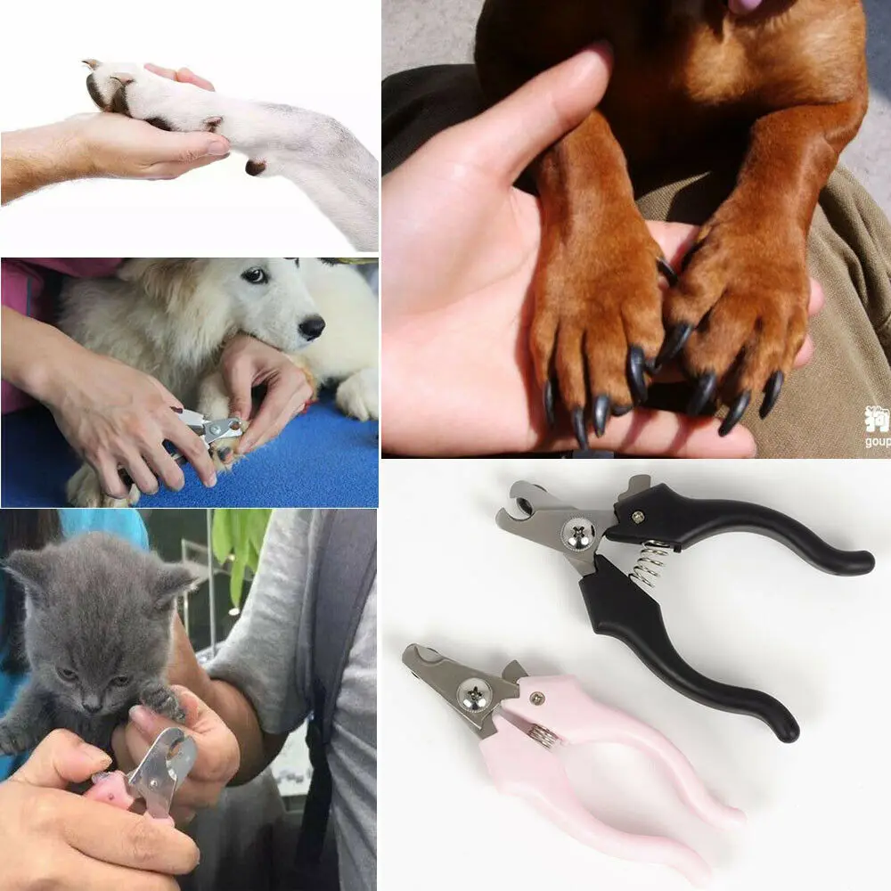 Pet Dog Cat Rabbit Nail Clippers Cut Scissors Toe Trimmer Tool | Дом и сад