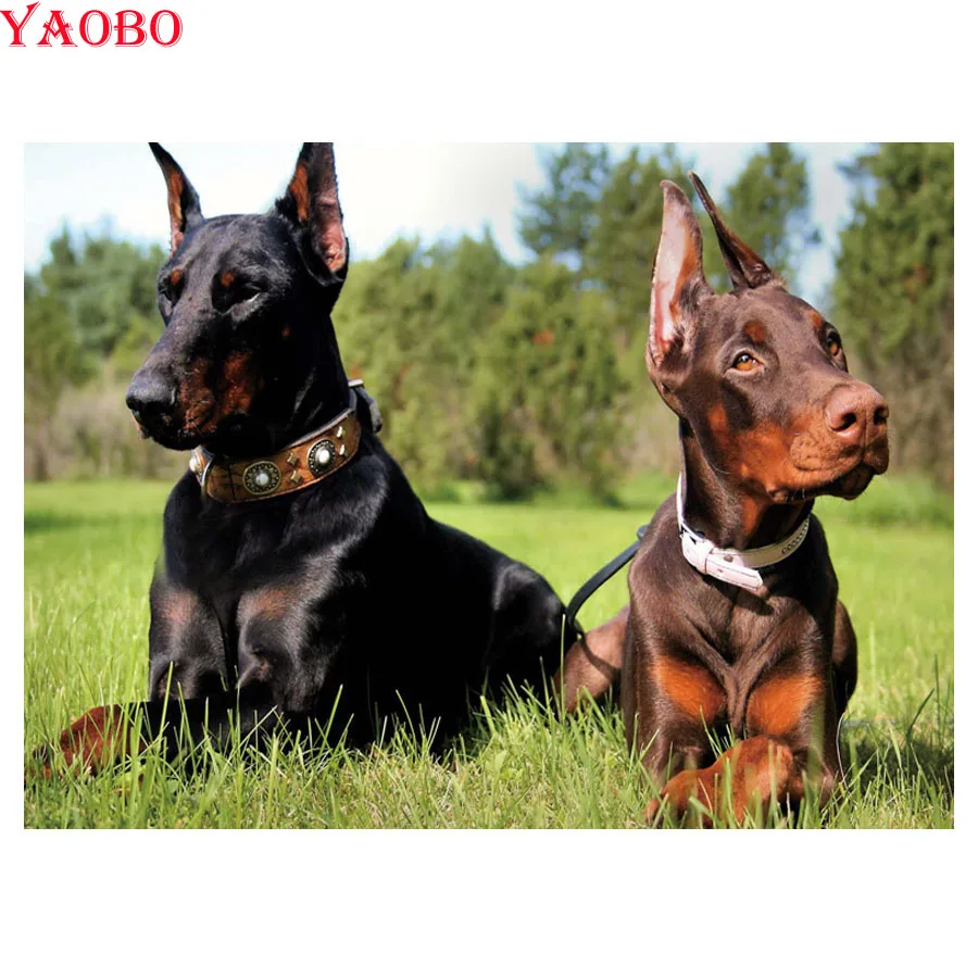 5D DIY Алмазная картина Doberman Pinscher фотографии страз мозаика вышивка собаки наборы