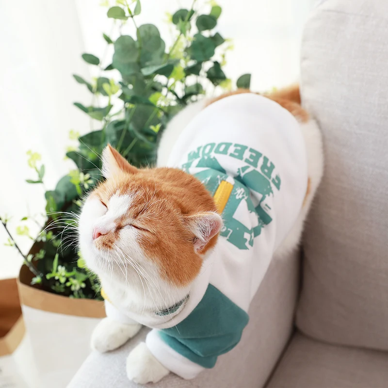 HOOPET повседневная одежда для щенков чихуахуа Свитера маленьких собак на осень и