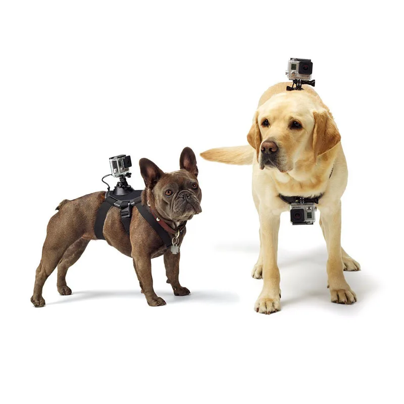 SHOOT Fetch Dog Harness Chest Strap for GoPro Hero 5 3 4 Sessio SJCAM SJ4000 Xiaomi Yi 4K C30 H9 Accessories | Электроника