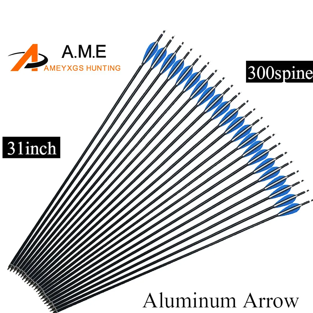 

12pcs 31 Inch Archery Aluminium Arrows Spine 300 With Replaceable Screw Steel Points for Compound Recurve Bows