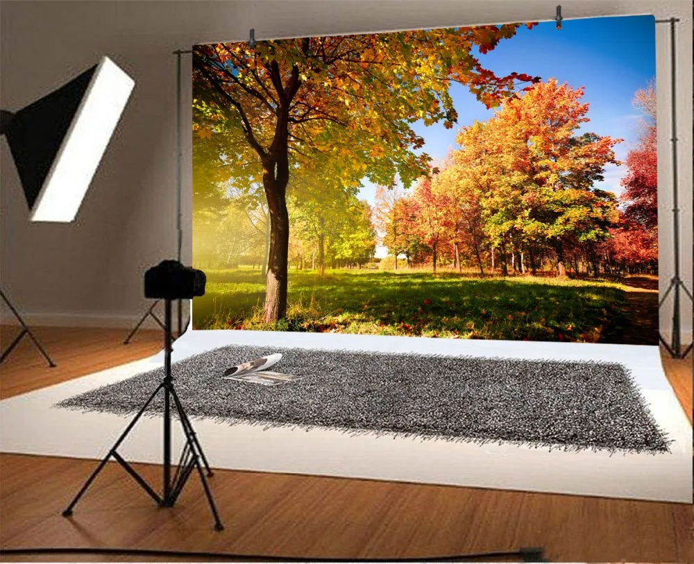 Laeacco Autumn Forest Grassland Portrait Scene Party Photography Backgrounds Customized Photographic Backdrops For Photo Studio |